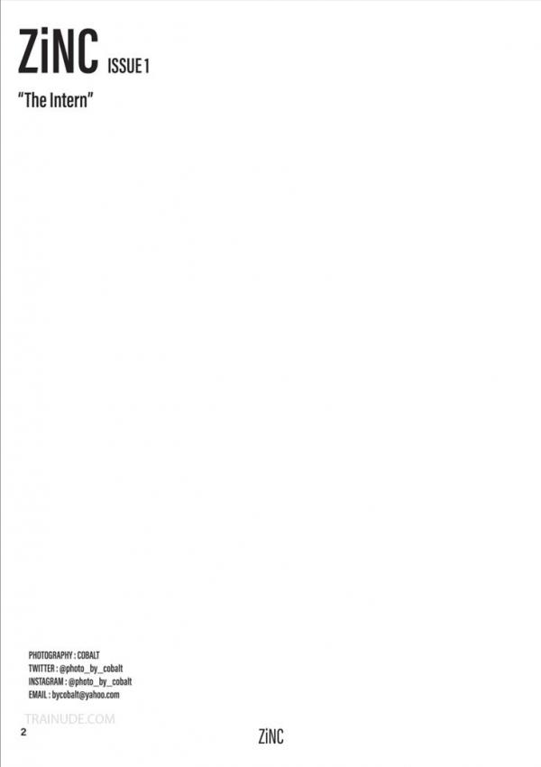 ZiNC-01--The-Intern--EbookVideo-